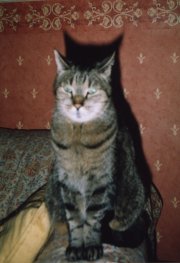 docu0001-1.jpg